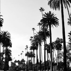 Meet your Posher, Max